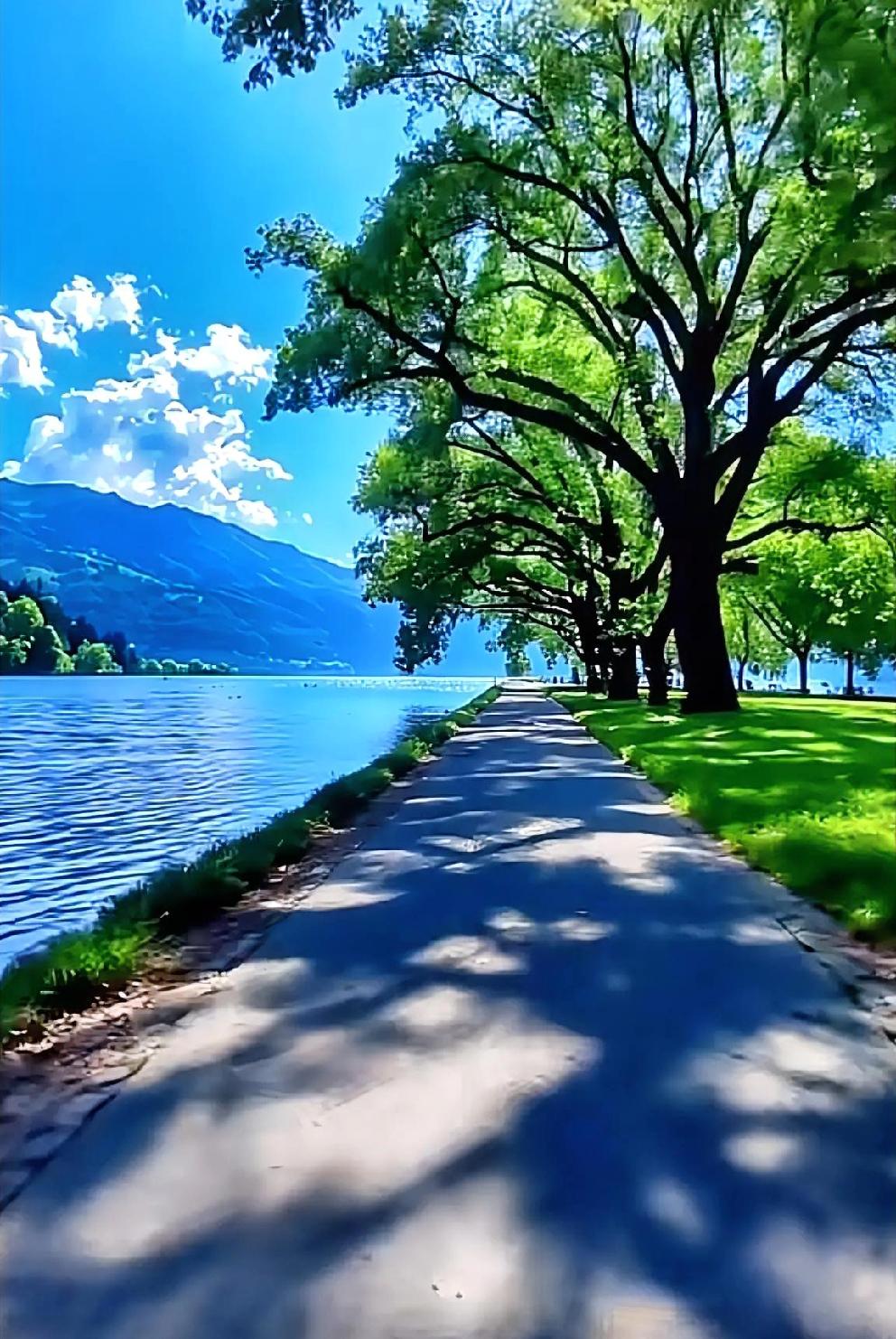 漫步湖畔小道，享受宁静与自然的拥抱。🌳🌊🍃