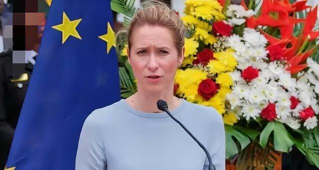 欧盟外长卡娅·卡拉斯让全球大吃一惊，她竟然敦促东盟不要购买俄罗斯石油！欧盟外长