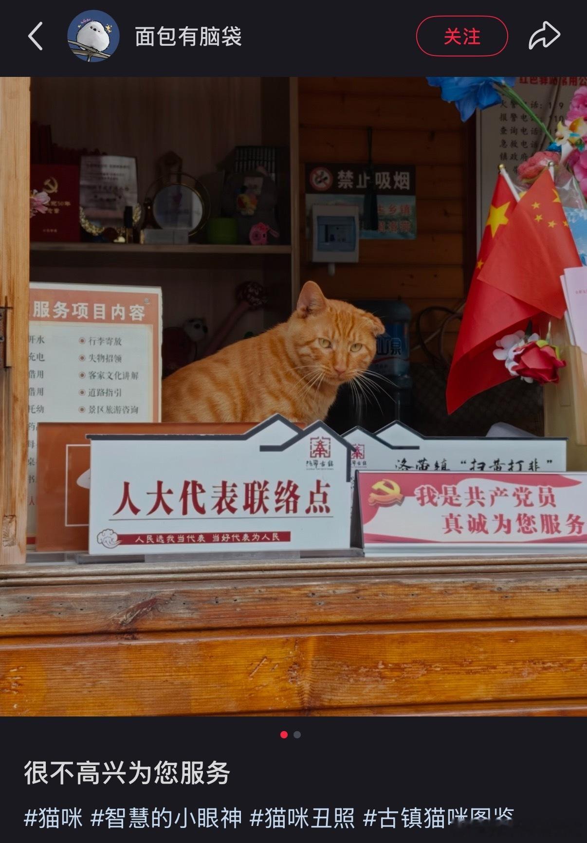 [爱心]​​​