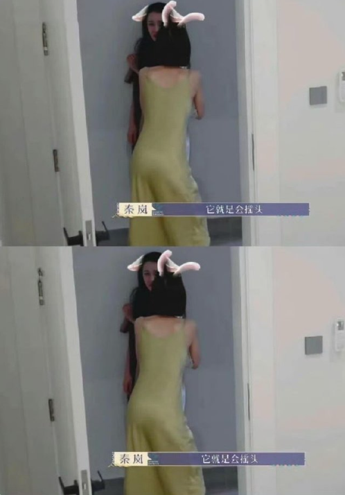 秦岚，她好像从来没营销过她的身材……​