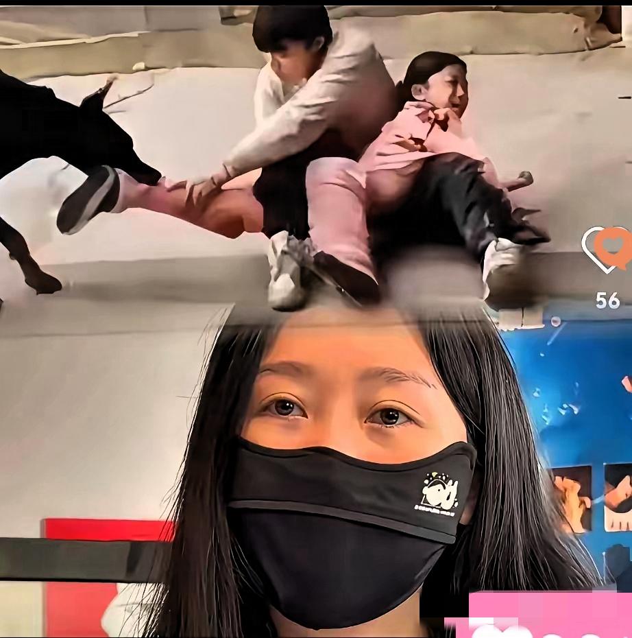 投毒毒狗固然该罚，但李女士们联合上诉要判10年以上，这吃相也太难看了！没人