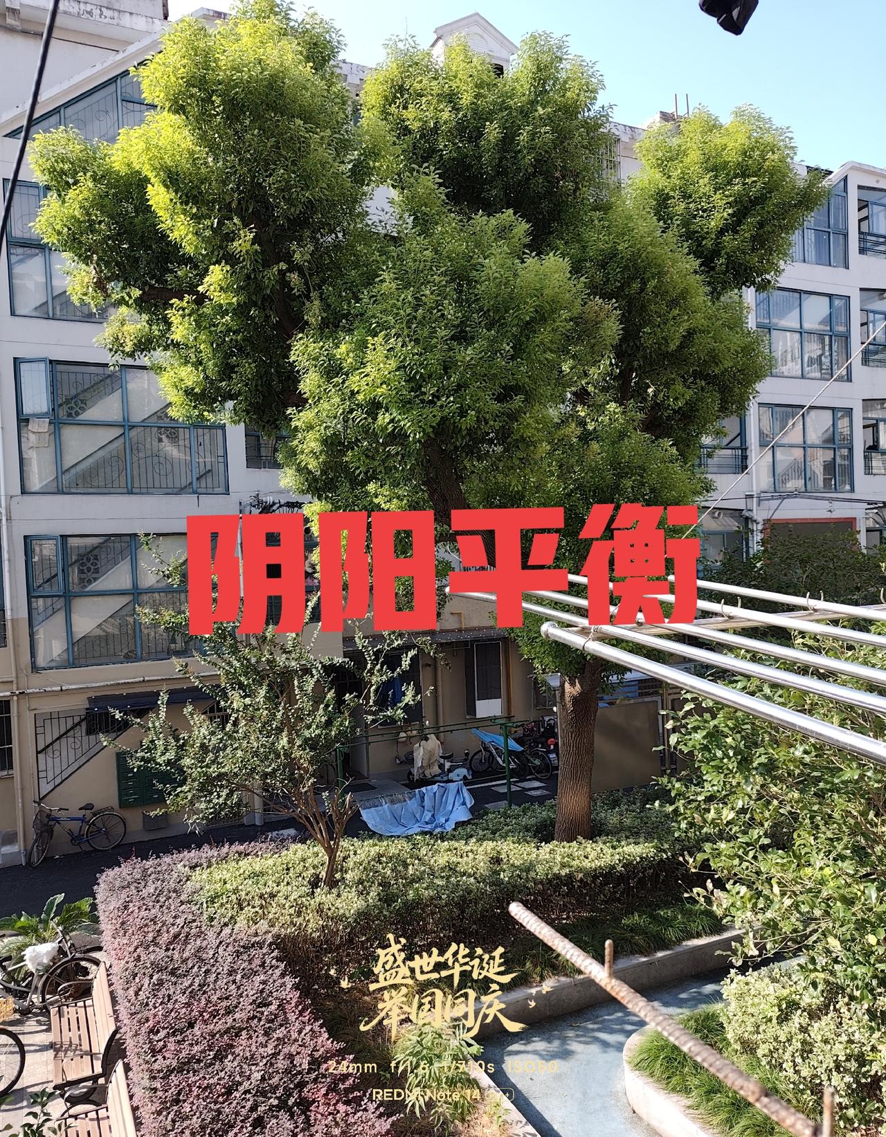 人体有两骨力，向上的力量称为阳（气、热能、脏腑功能…）、往下降的力称为阴（寒凉、