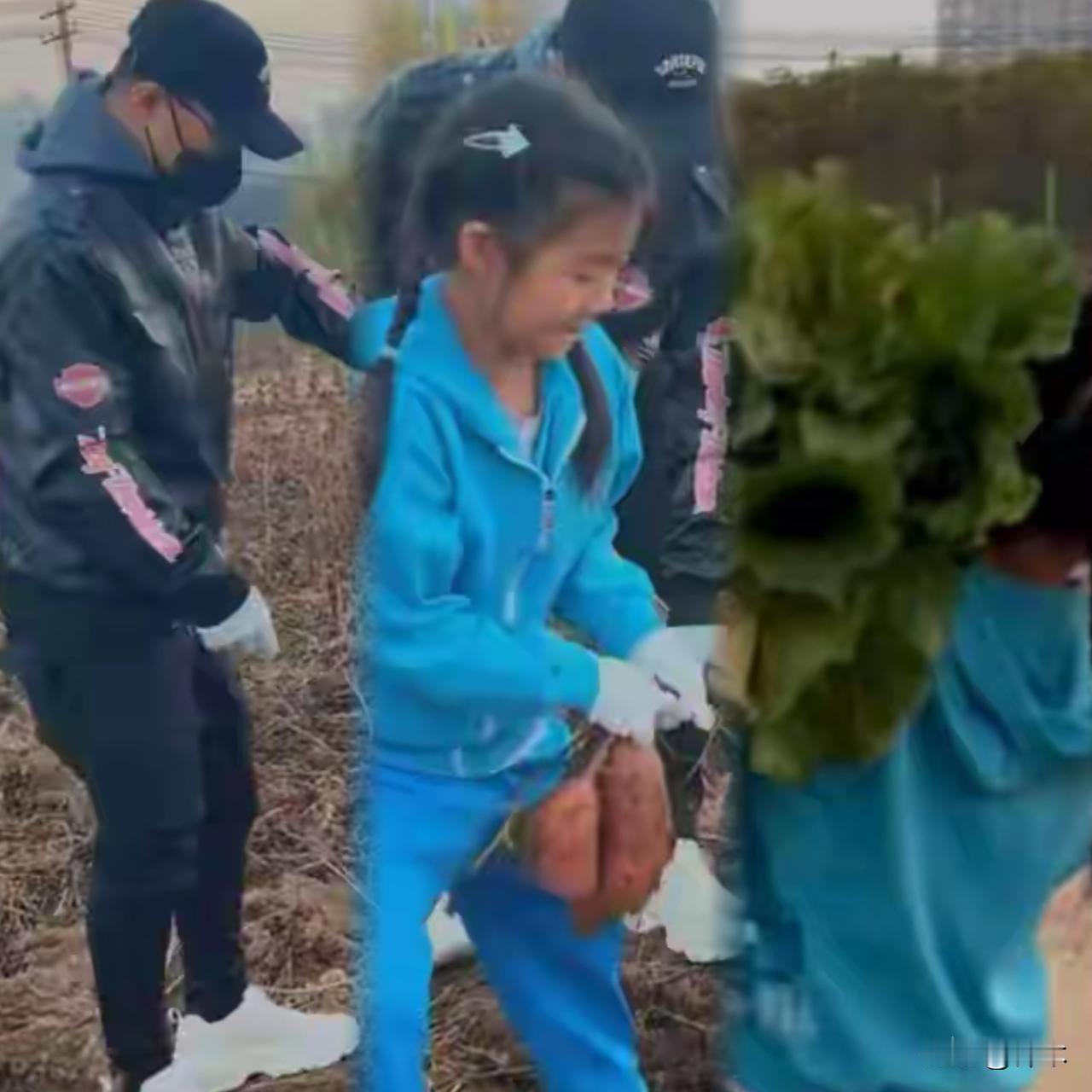 上次汪峰带森林北旅游，让醒醒推箱子，不仅让汪峰被全网骂，还丢了醒醒的抚养权。这次