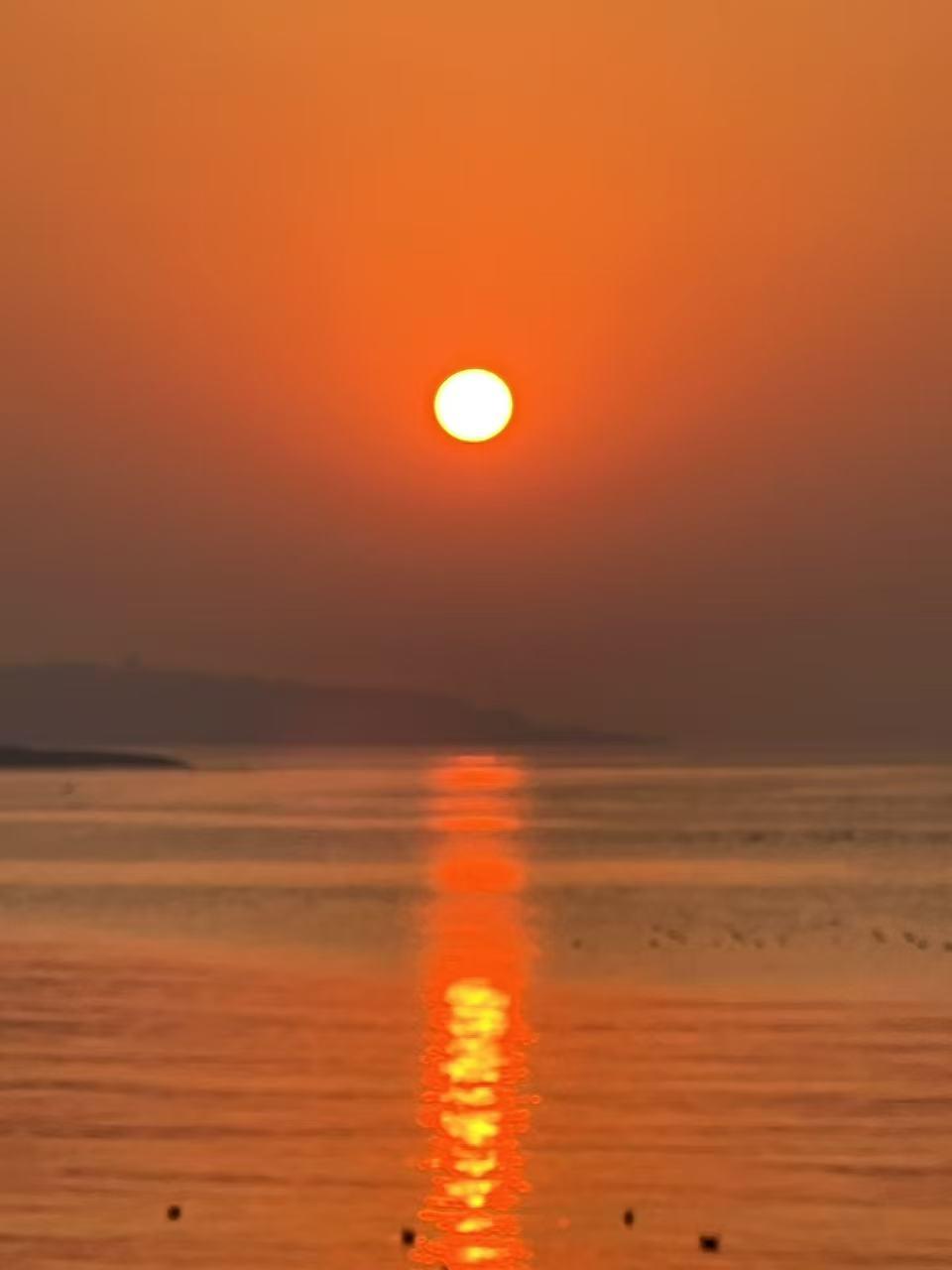 退休后的老公就像一颗向日葵，天天追着太阳过日子。一、退休后每个月的退休金只有