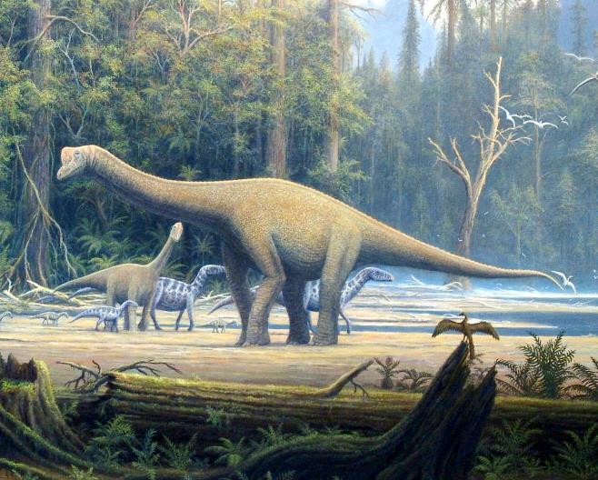 【恐龙并没有彻底消失，它们其实还在我们身边】6600万年前，一场灾难改变了地球
