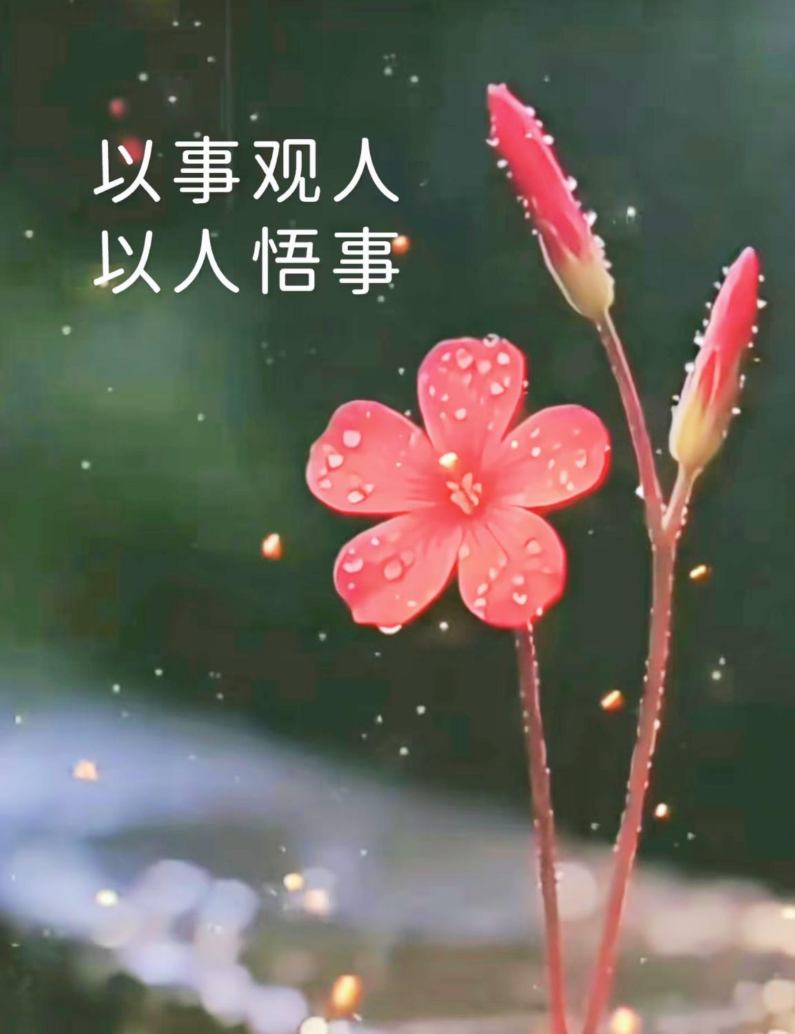 很通透的一段话：​人这一辈子，不能太圆满。发财不发人，发人不发财。人活一世