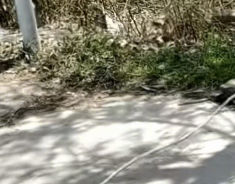 【#骑车遭绳索割喉男孩家属发声#：孩子身体有所好转，会考虑追责】近日，河南沁阳1