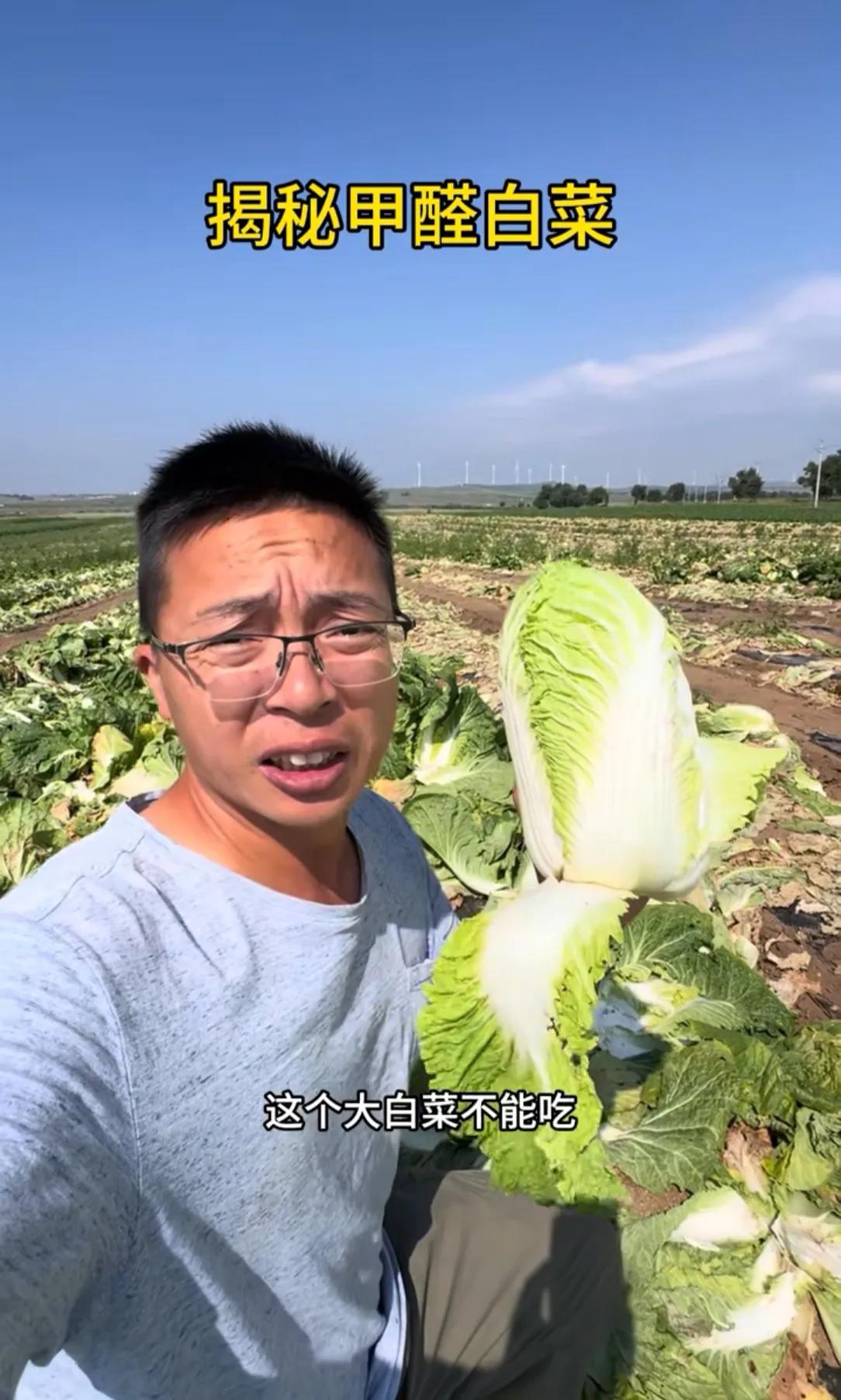 看了刚曝光的甲醛白菜，我默默做了3个决定：第1.选择去大妈的摊位上买，而且还