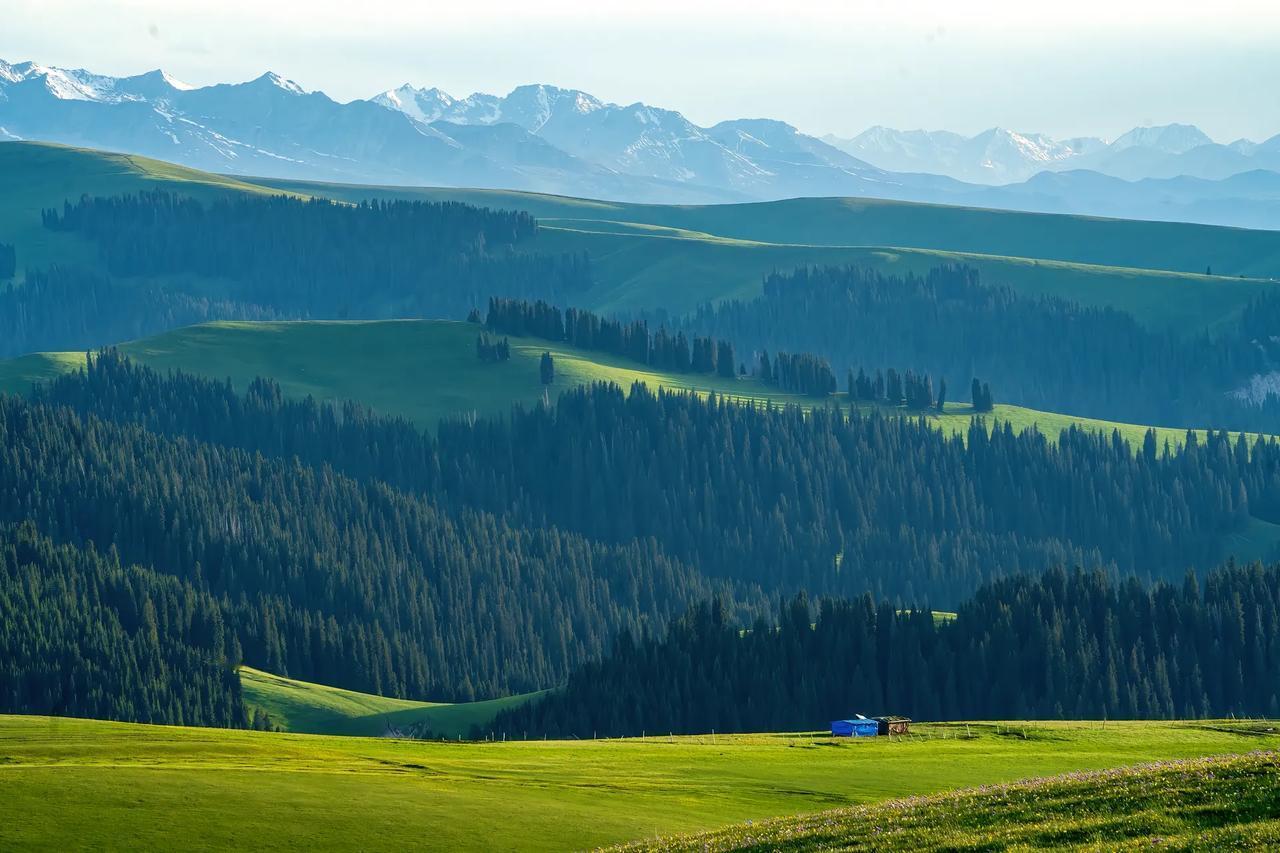 我们经常都会接到家长的咨询，对于女孩子来说，最怕的就是数学和物理出问题，其他的科