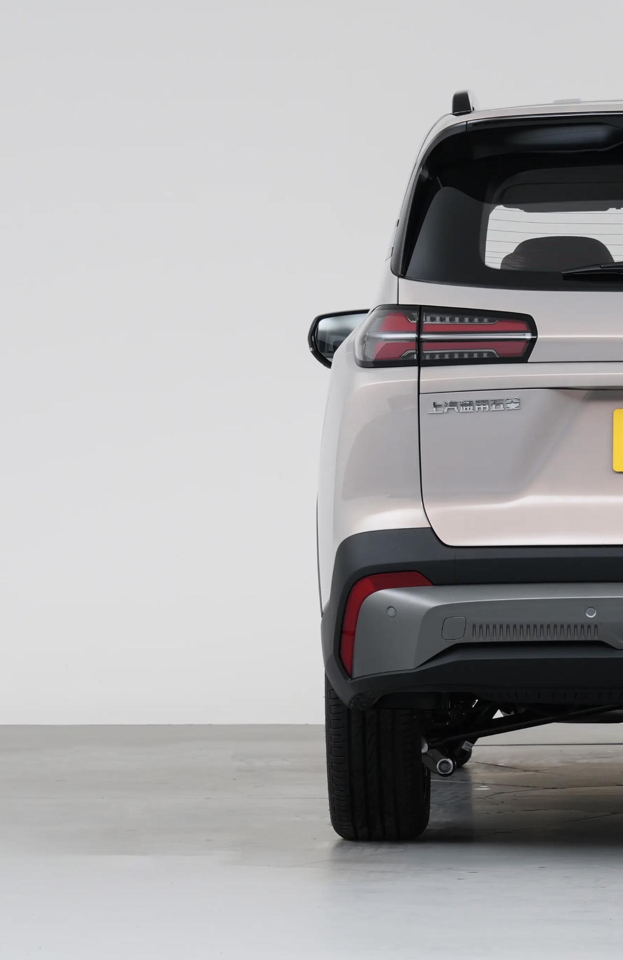 可以看到是独立悬挂，簧筒分离，有意思的是减震筒是斜着连接在羊角上，这种设计在标致