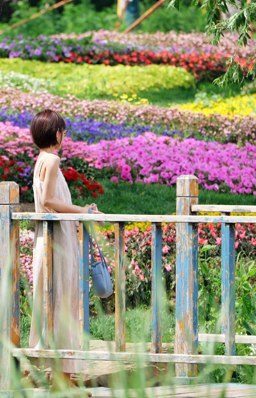 是花花嘢🌸🌺🌹🌷💐🌼