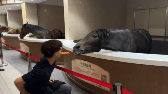 现在我明白为什么这个姿势叫马步了…​​​