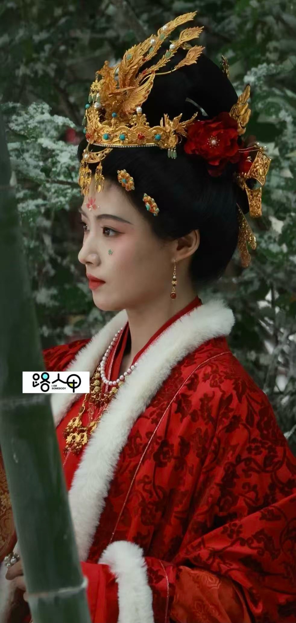 女皇来的