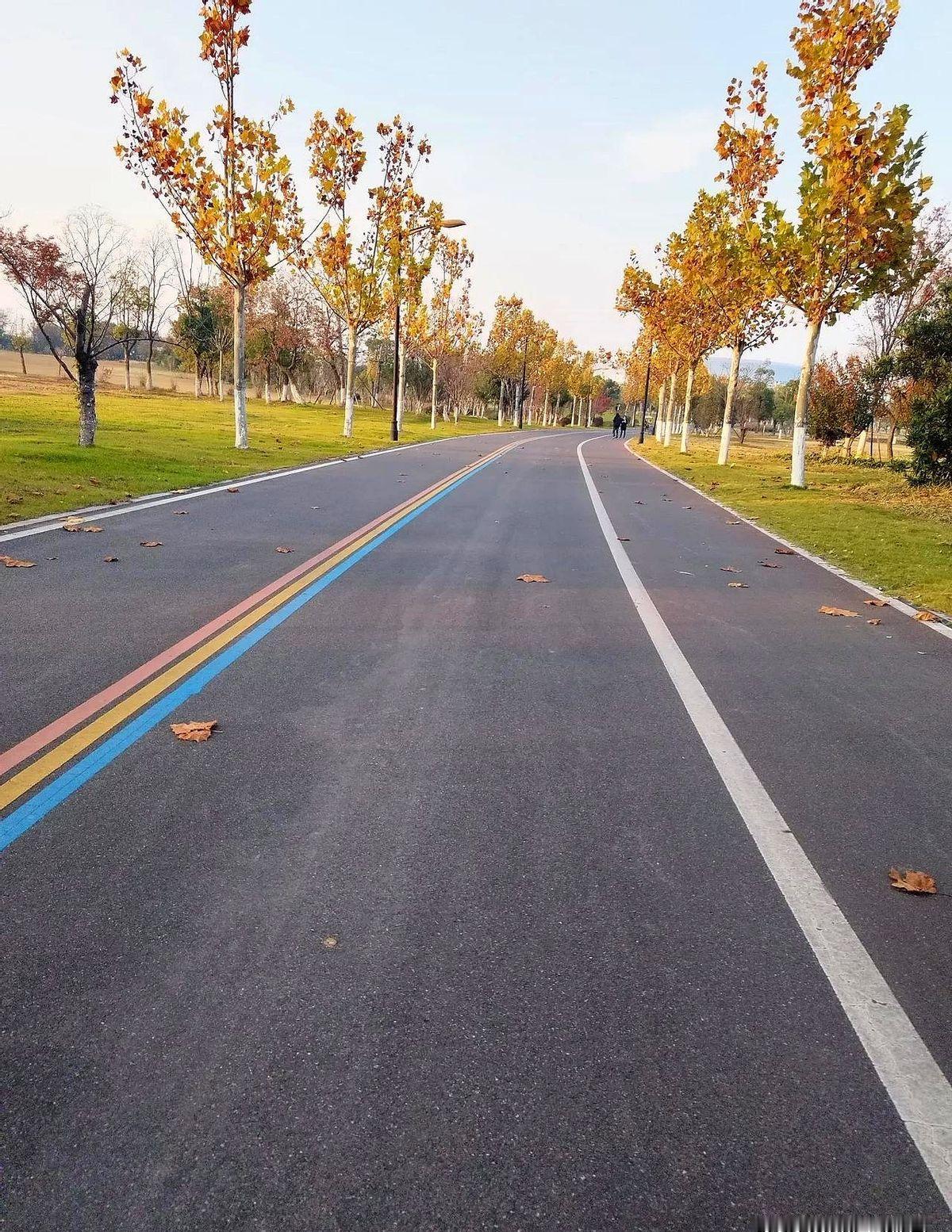 教育养娃，家长千万别让孩子，成为一个社会化程度低的人。孩子的情商培养很重要，家