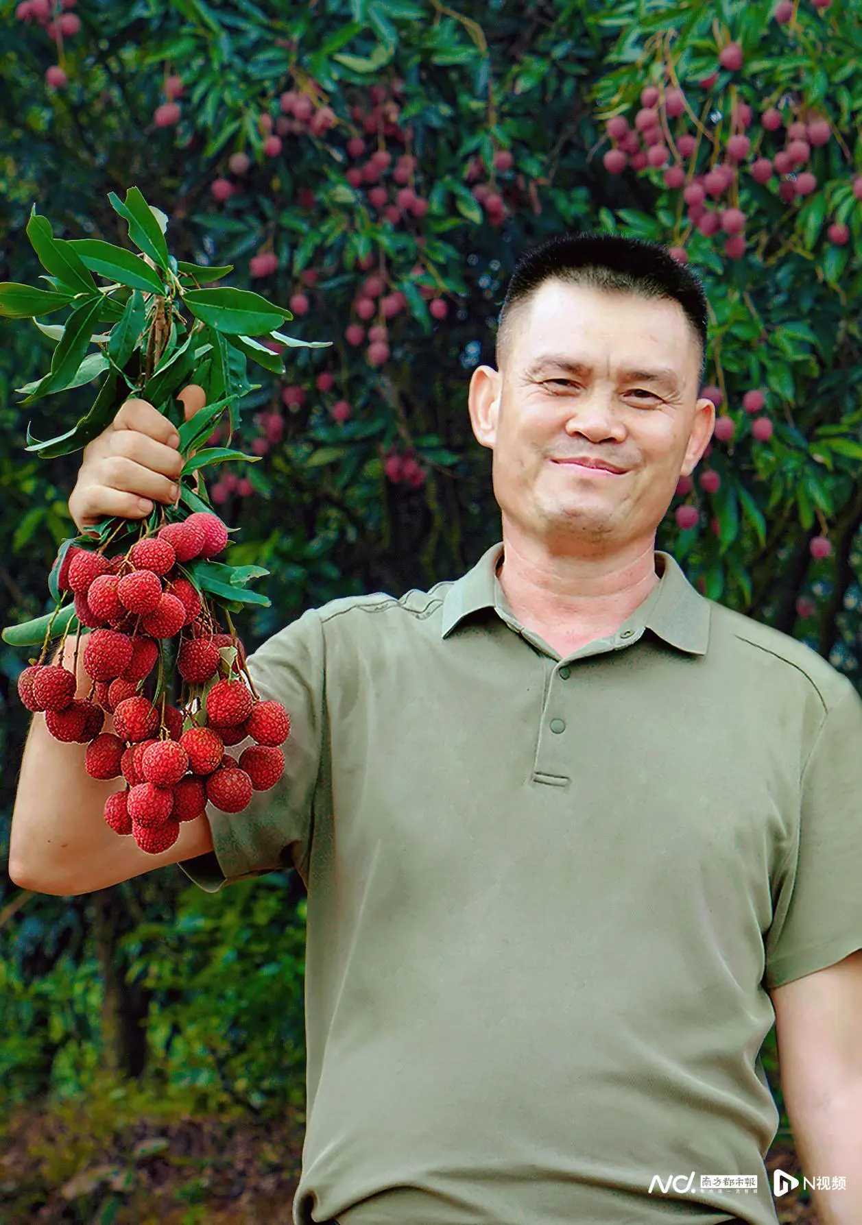 今年广东荔枝迎来超级丰收年，产量超200万吨，荔农们忙得不可开交！为了解决“增产不增收”的难题，王老