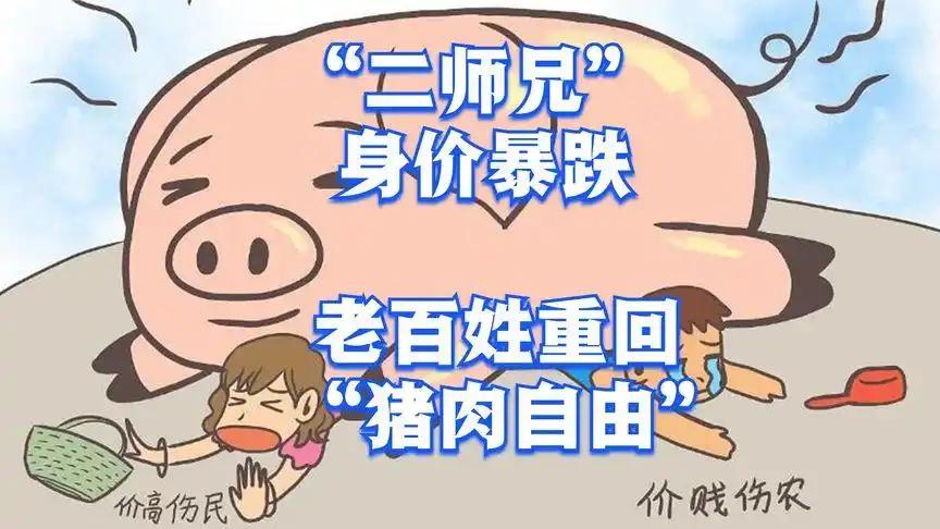 “二师兄”身价暴跌！别急着啃猪蹄，你看到的不是惠民福利，而是一场正在上演的“财富