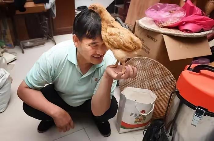 朱之文，终究为自己的善良买了单。大衣哥朱之文很无奈，一个对自己的网暴和谣言，