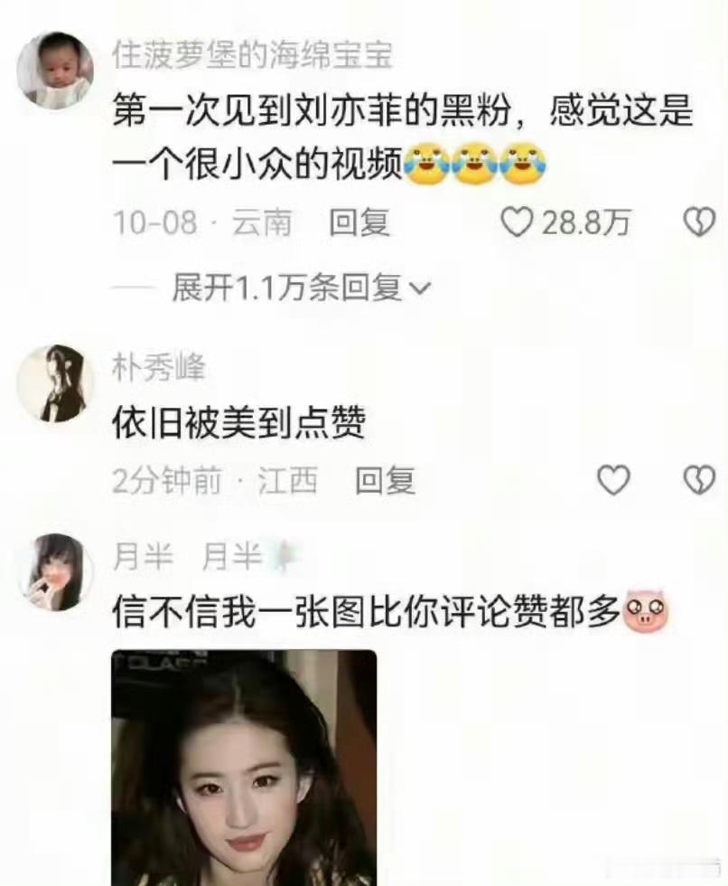 刘亦菲多平台投票胜出最近看到各种给女明星造hy的帖子真的好难过，刘亦菲无妄之灾！