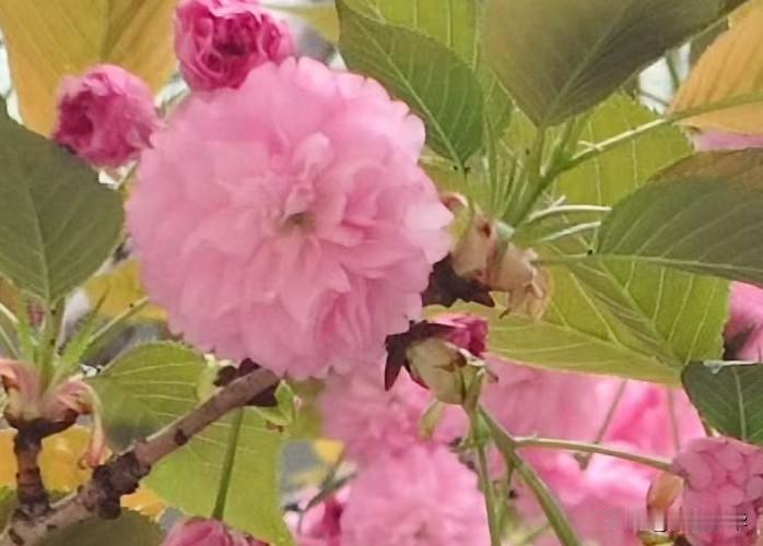 她说得对，天大地大，老婆最大昨天下班，媳妇让我顺路买瓶酱油。我满口答应，结果