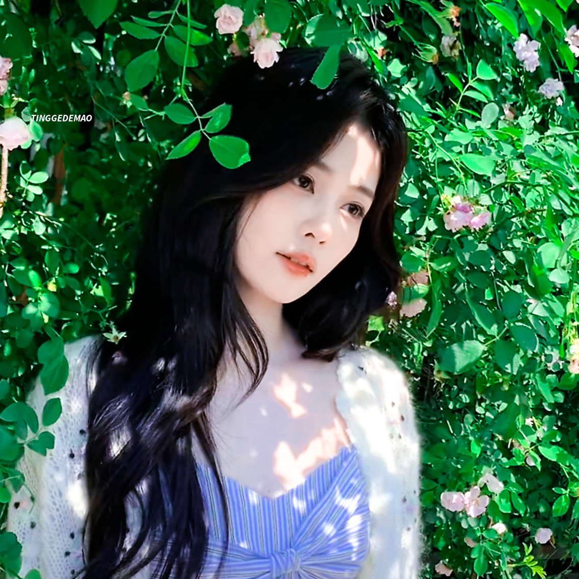 花中仙子🌸白鹿