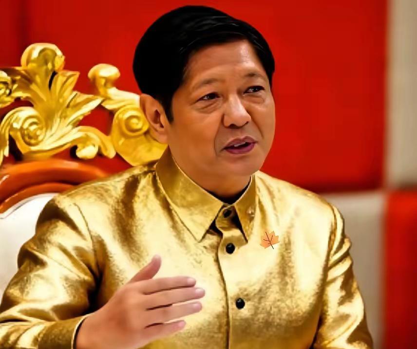 菲律宾最高法院这次终于干了件人事儿！12月6日正式作出判决，要求当局把从菲律宾