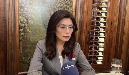 国台办最新表态，硬气！统一大势，岂容反复横跳？一边喊着“欧盟模式”拖延，一边
