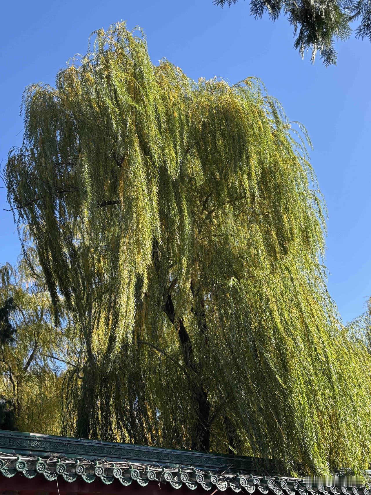 1、逢人就喊“哥”。2、虽然自己不抽烟，但身上总会揣着2包烟，100的给领导和