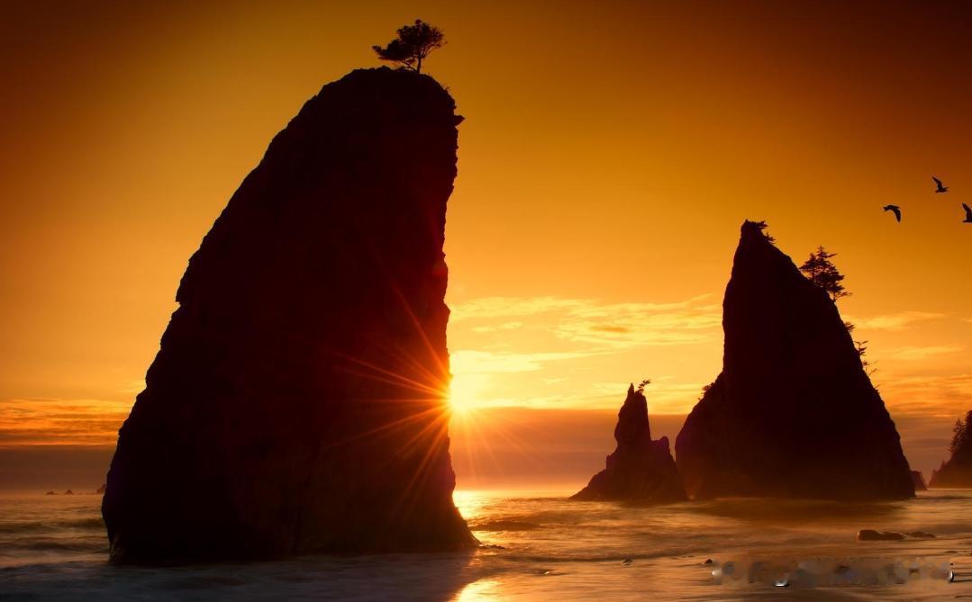 持有券商和互联网金融的不要慌，不需要因为某段时间没有收益心神不宁。这两个板块没有