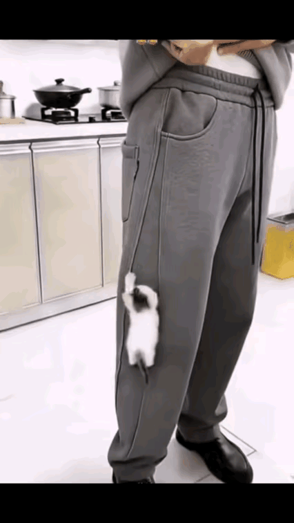 带着这个小猫出去，回头率绝对百分百，太萌了。