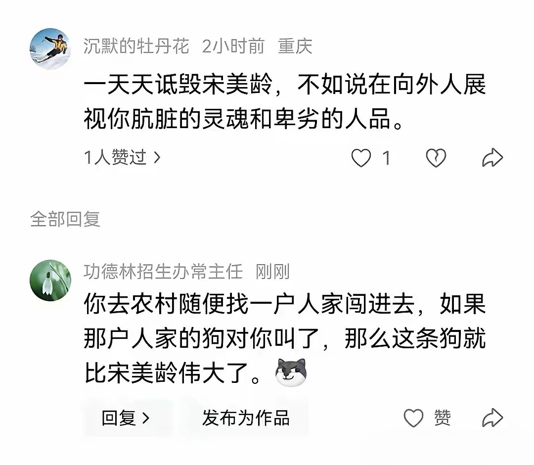 宋美龄是新中国认定的战犯！位列第23位！这还用抹黑吗？这还可以洗吗？！某种程度上