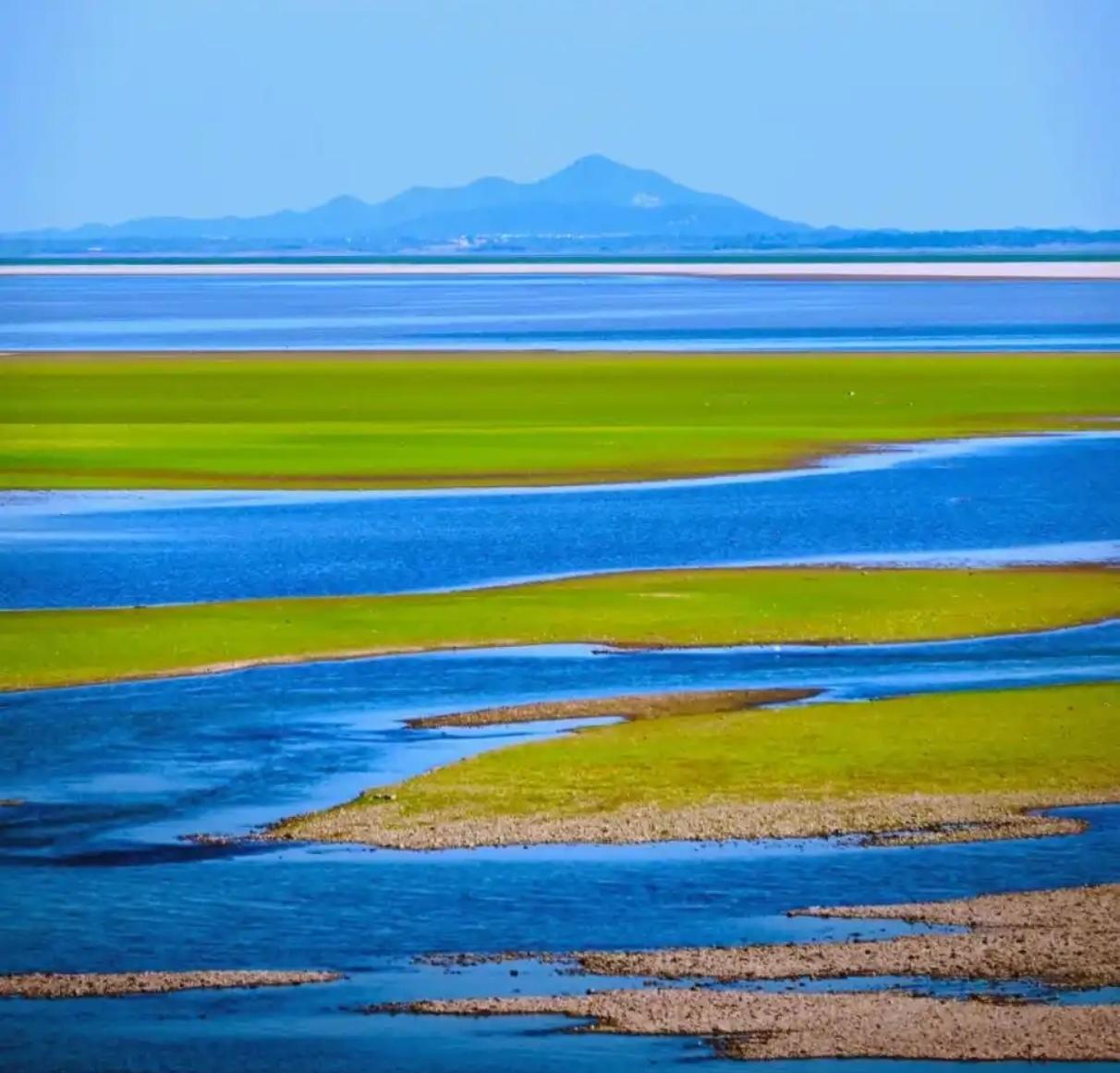 这里水草丰茂，洲滩交错，一汪碧水滋养着万千生灵。晨雾漫过湖面，渔舟轻摇，水色与天