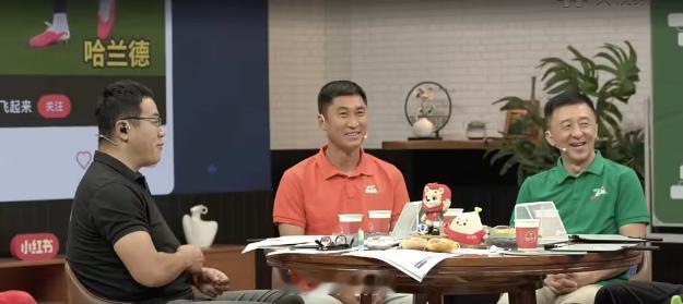 近有讨论说，阿根廷队犯规不少，但黄牌拿得却不多，甚至有人觉得他们踢得没那么“脏”