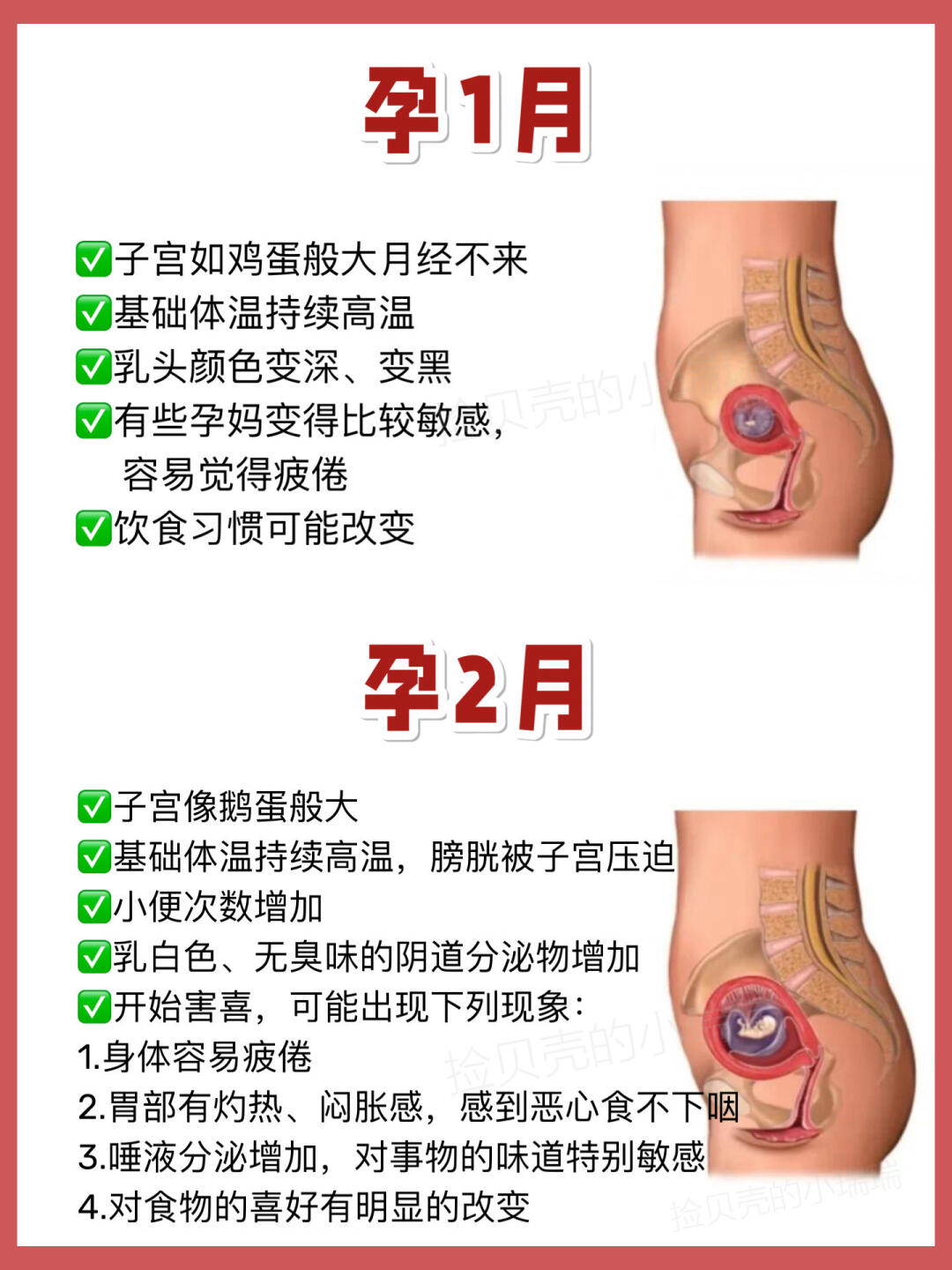 怀孕各阶段身体变化！孕妈妈准爸爸必看！