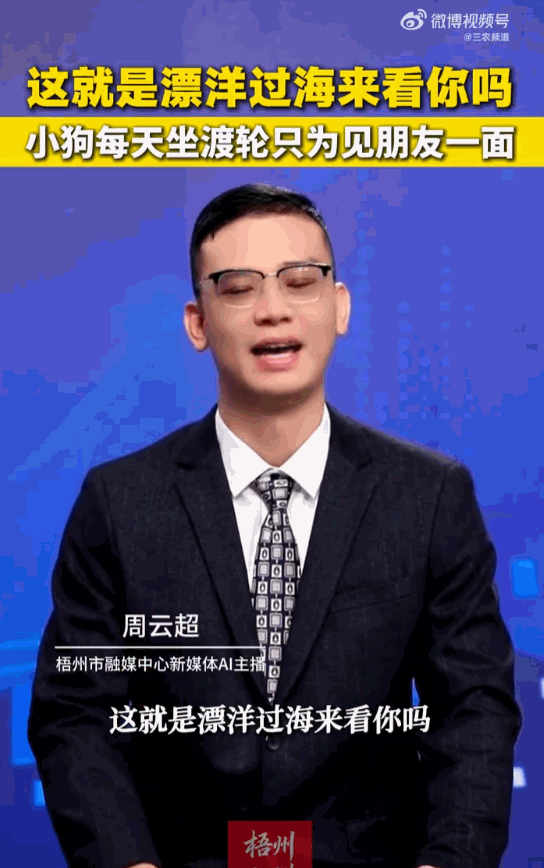 世间怪事层出不穷！湖北荆州一只小黑狗，为天天和长江对岸的玩伴相聚，无师自通，每天