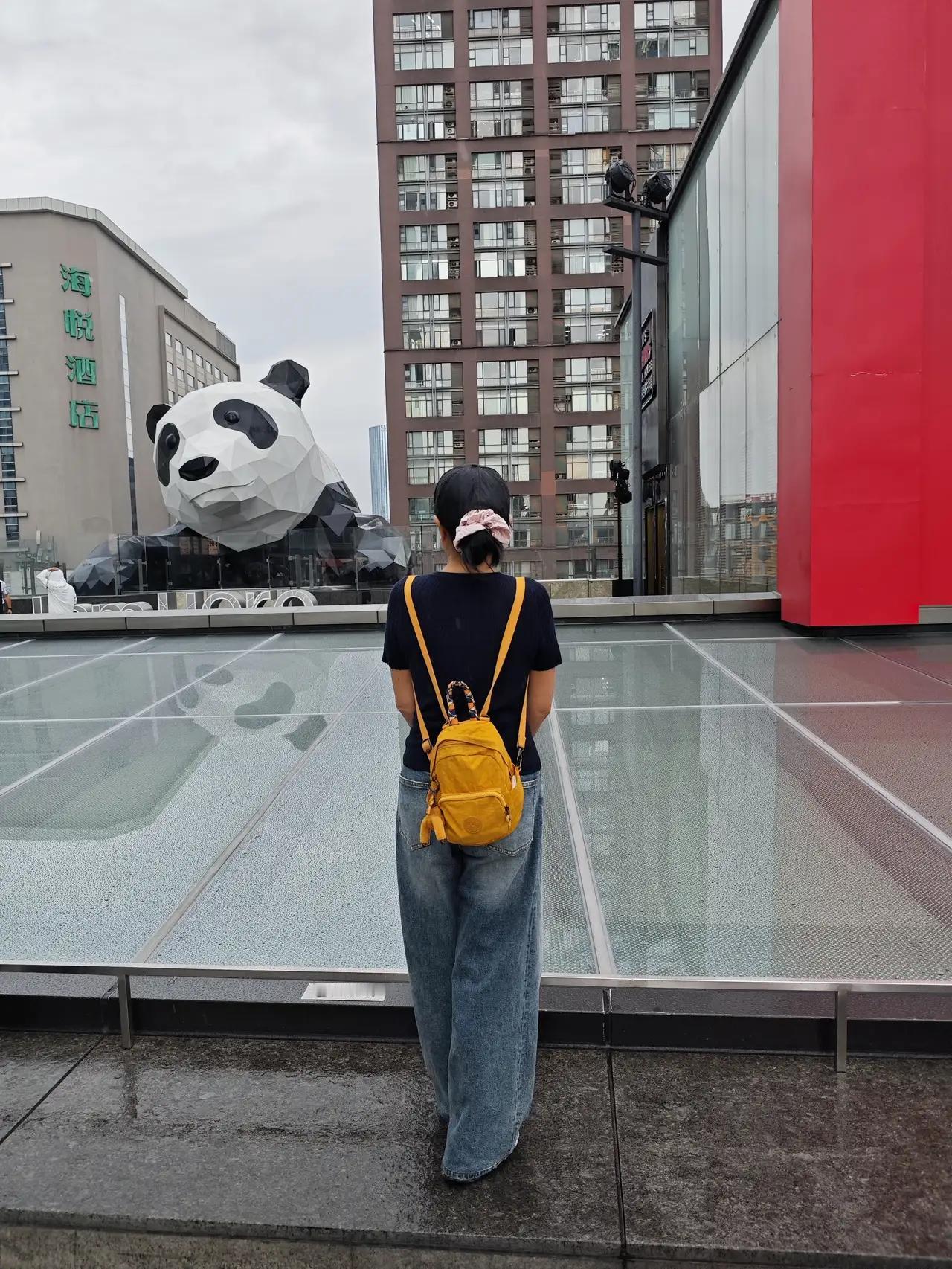 我在2025年最难忘的是在今年8月份的四川成都旅行。来到成都让我感受到了都江堰的