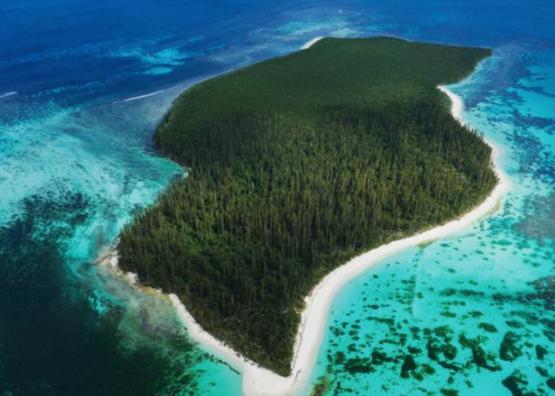法国海外领地独立公投的博弈有多离谱？法国一边把民主自由挂嘴边，一边暗搓搓改规则、