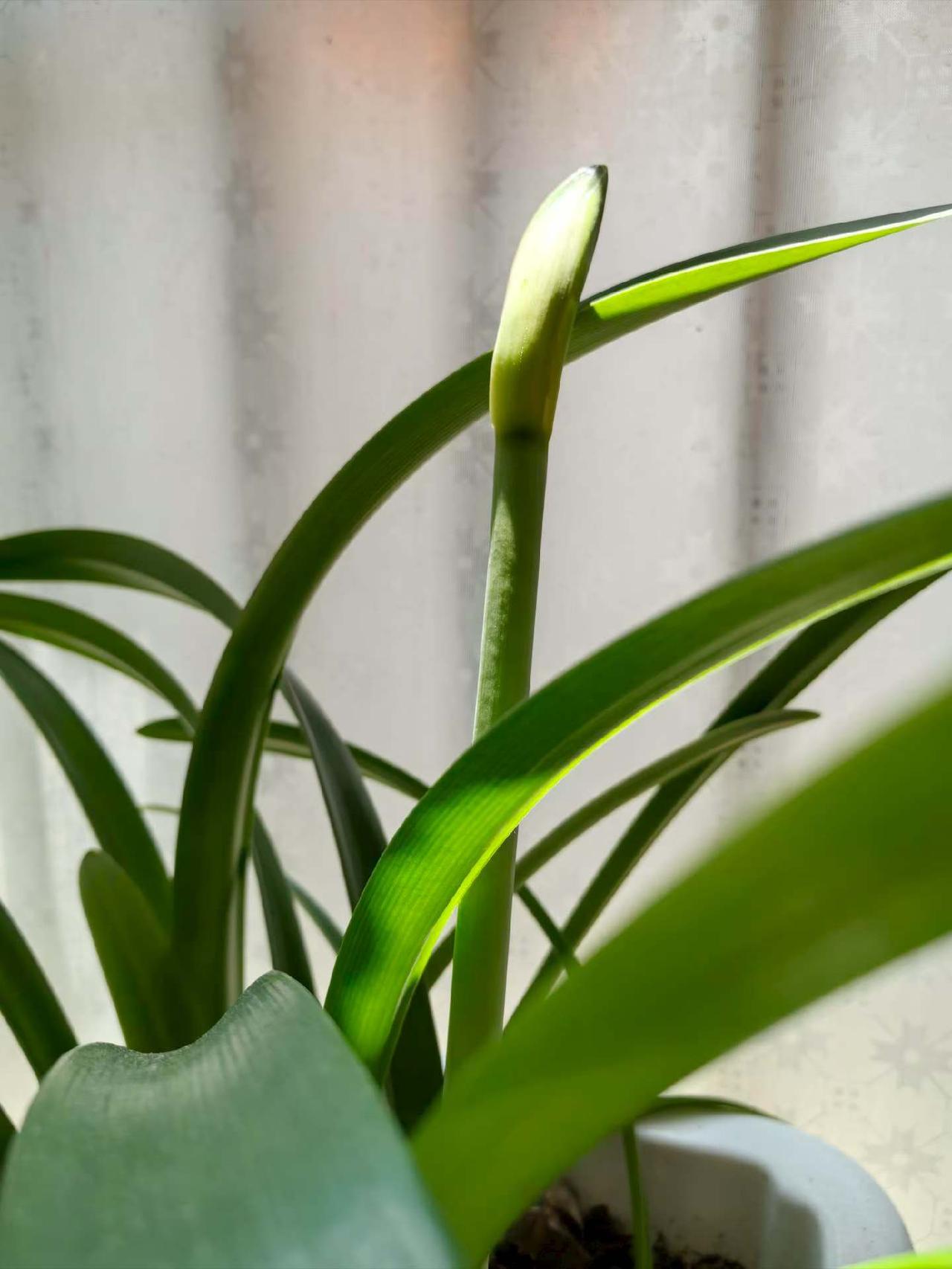 今天被恶心到了，昨天因同情同事这个月要垫底扣钱，便把自己名下的一笔业绩放她名下，