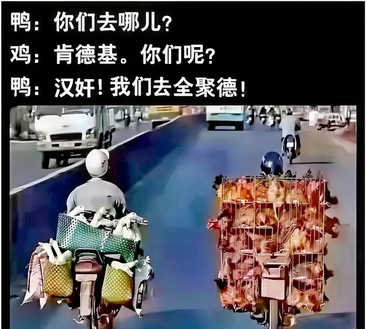 韭菜们最终往往都逃不过相同的命运，实在是令人心生悲戚。可偏偏有人要在这无奈的结局