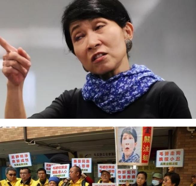 “我又不是中国人，为什么要唱国歌？”2017年的香港立法会宣誓环节中，会议员毛