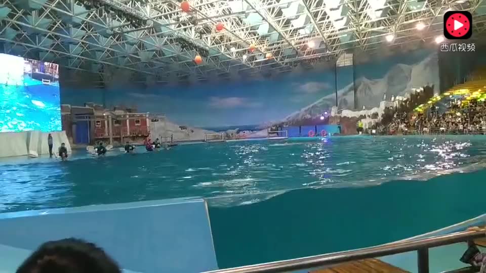 12660442373893477135.jpg?id=0