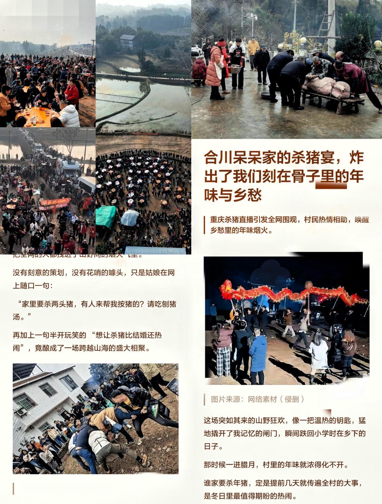 重庆呆呆事件，最大的受益者已经出现了，不是呆呆本人也不是合江文旅，而是那些