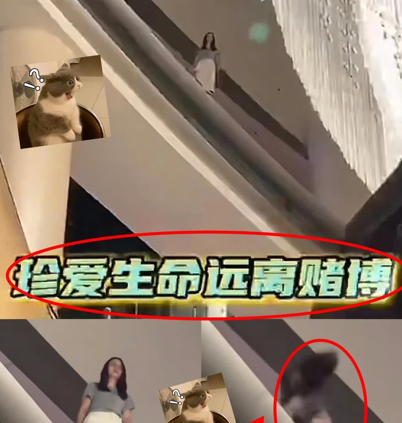 赌博害死人！28岁女子在澳门金沙赢了20多万，结果后面把68万积蓄全输光