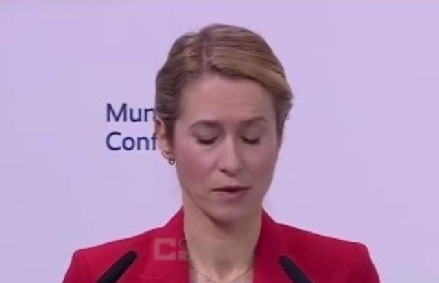 2月15号，慕尼黑安全会议开到最后一天，欧盟外长卡拉斯上台说了几句话，直接把会场