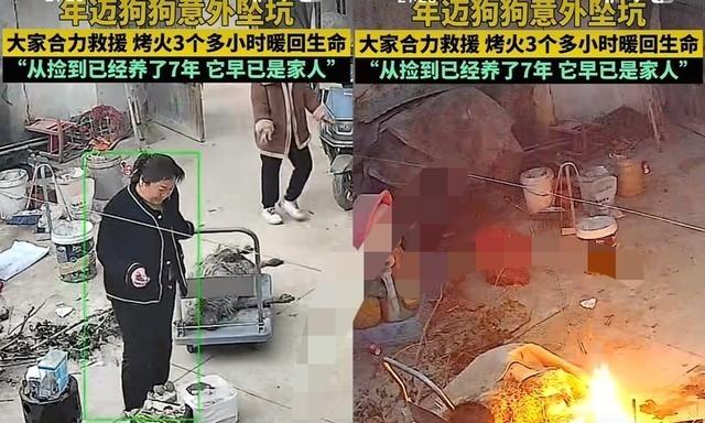 河南一女子养了7年的狗丢了，全家连夜找，最后在深坑里找到，狗已经失温快不行了。