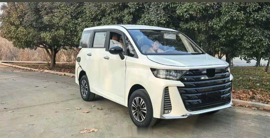 过年开这回家如何？