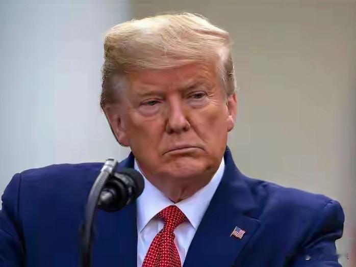 外国军事专家：这是特朗普上任以来说的最有水平的一句话！这位专家表示，特朗普的