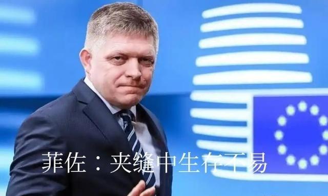 欧尔班下台后，斯洛伐克菲佐在欧盟中成为孤独的“亲俄者”，虽然波罗的海三国、波兰对