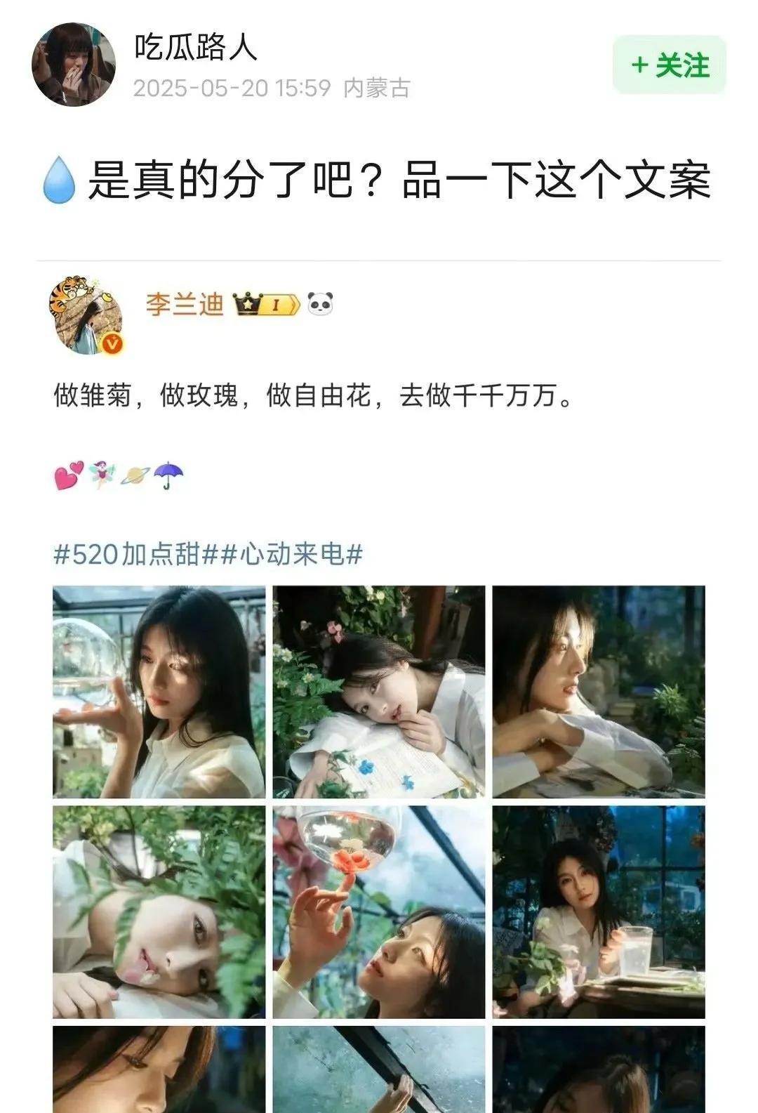 惊闻张新成和李兰迪分道扬镳！曾被无数观众嗑爆的荧幕CP，现实中这段缘分也画上句点