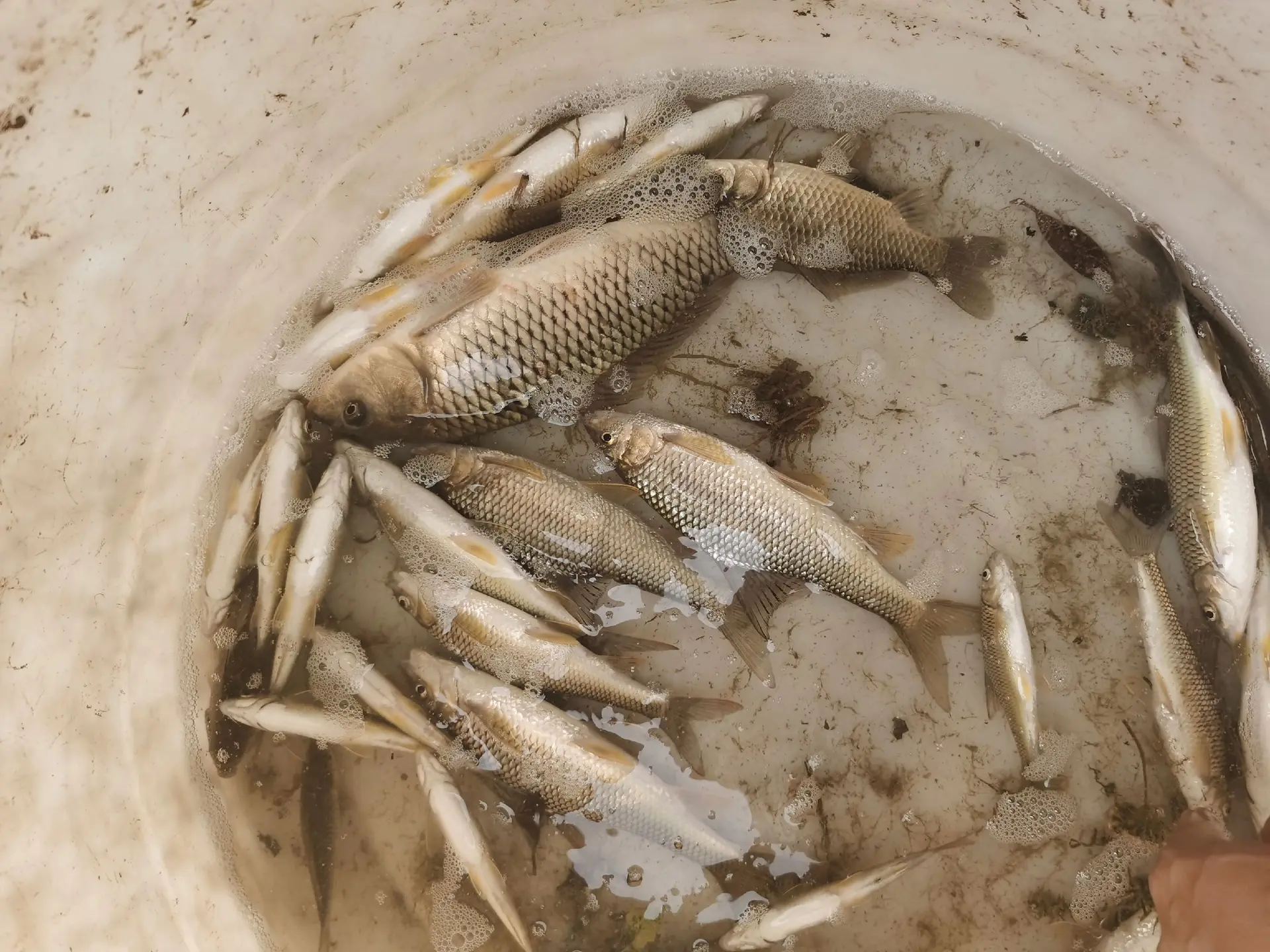 人间美味不过如此