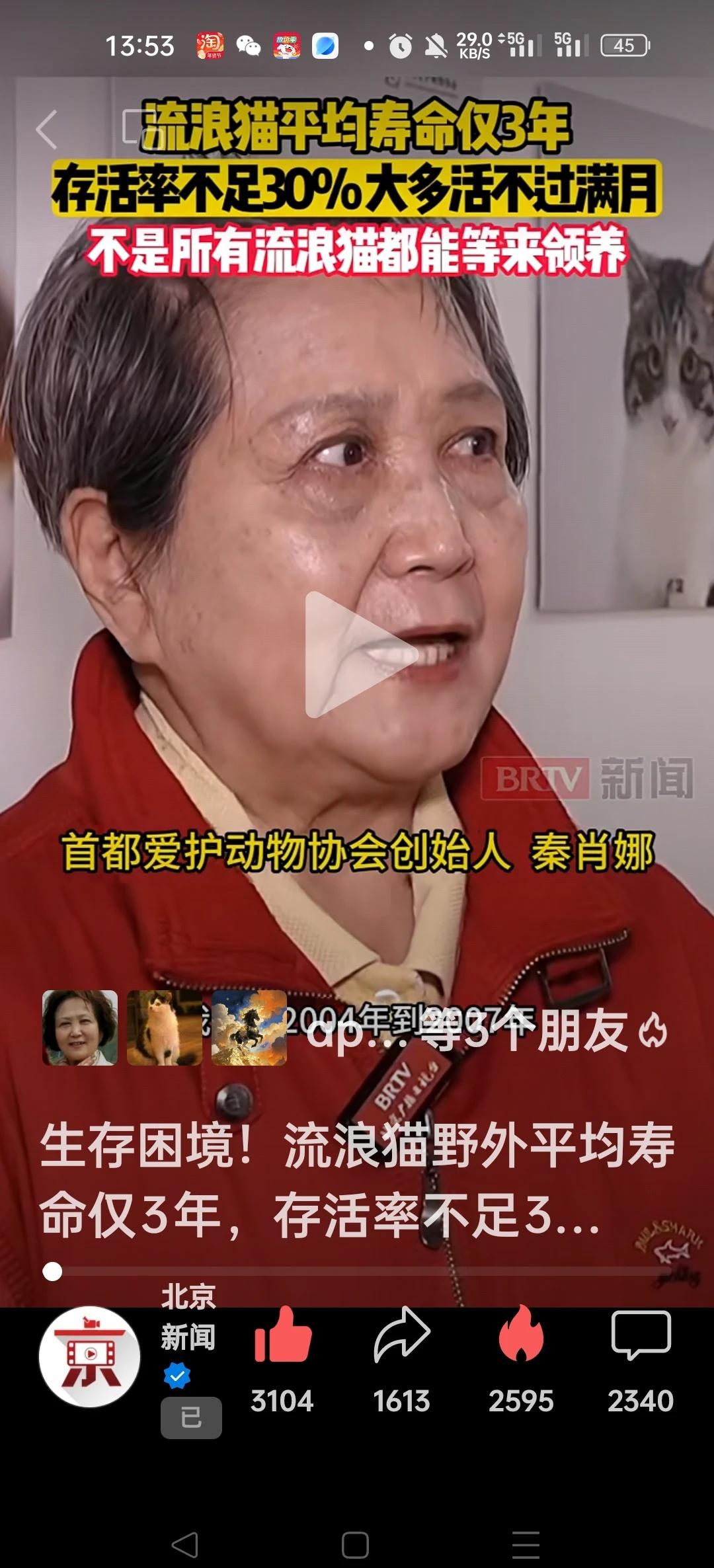 北京新闻报道流浪猫问题，看秦肖娜完整观点秦肖娜老师完整观点见图二媒体只是
